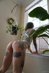 Awlivv Nude Gallery